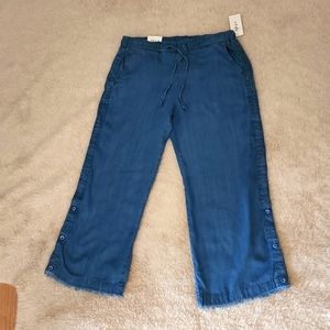 Style &co women pants